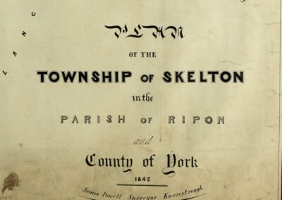 Skelton