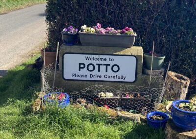 Potto